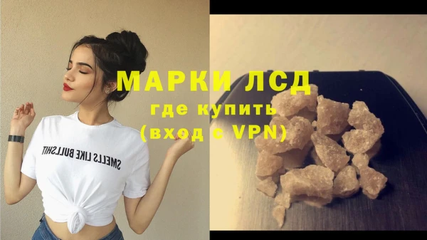 индика Бугульма