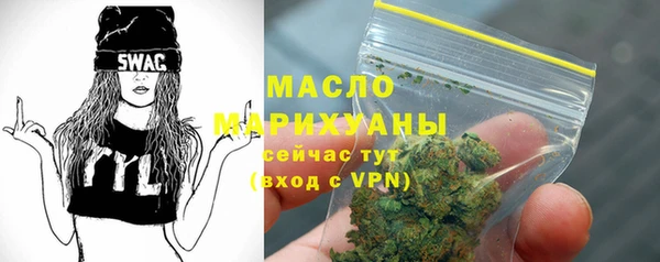 индика Бугульма