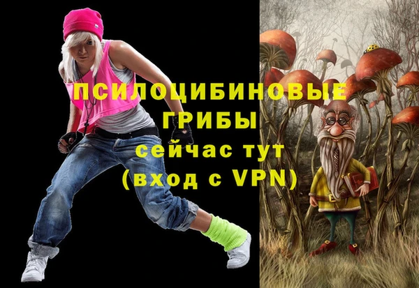 2c-b Бронницы