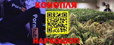 стаф Ярославль