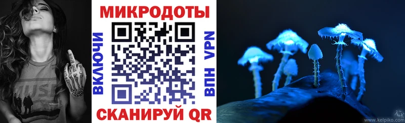 Галлюциногенные грибы Psilocybe  Бузулук 