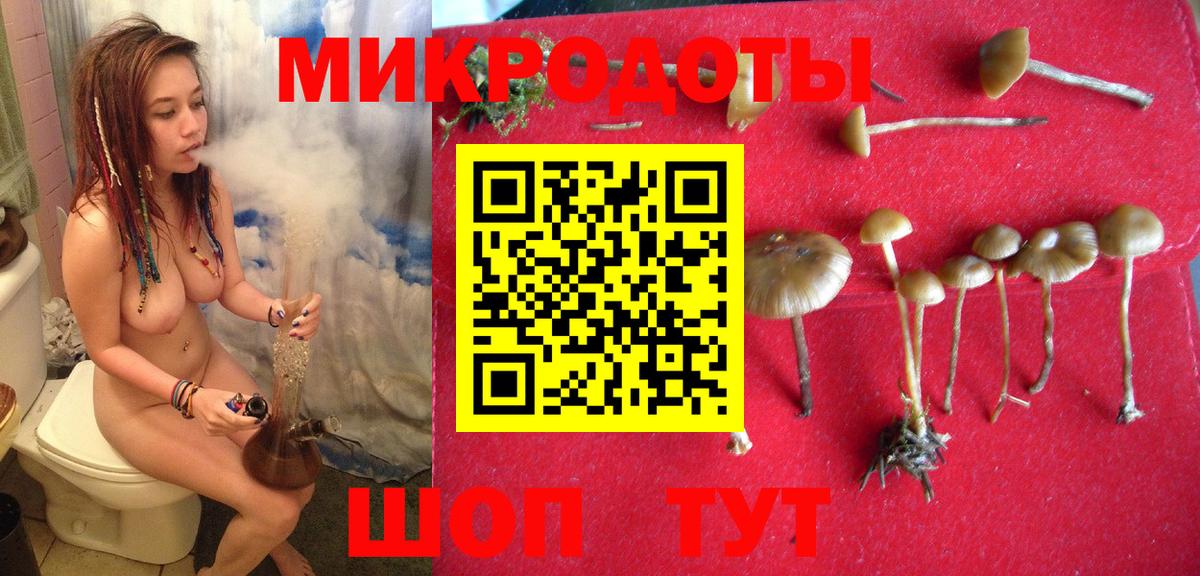 Псилоцибиновые грибы Cubensis Бузулук