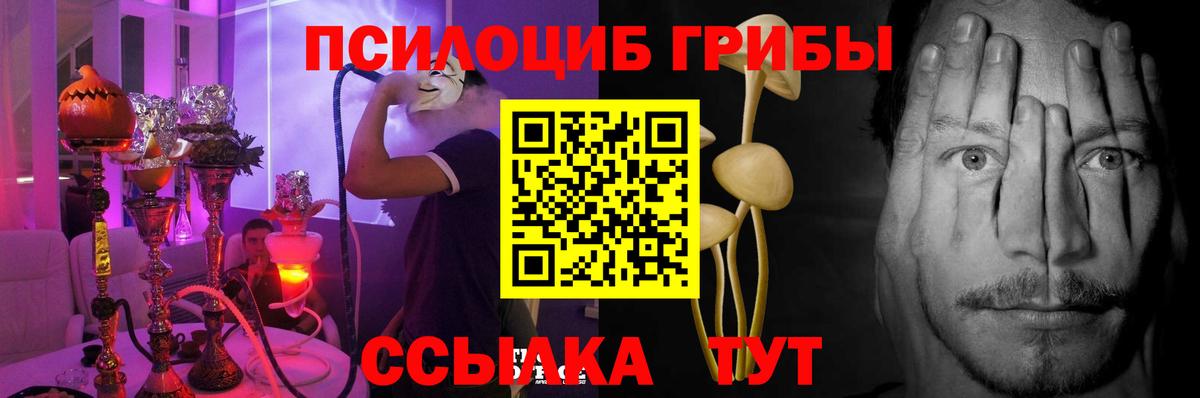 Бузулук  Галлюциногенные грибы мухоморы  Вход с VPN 